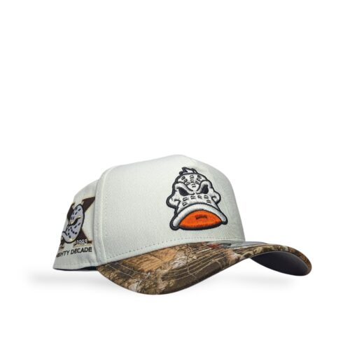 Gorra Doble AA Ducks