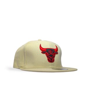 Gorra Doble AA Bulls