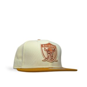 Gorra Doble AA Raiders