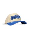 Photoroom-20260605_181421016 (1) (14) Gorra Top Premium 018