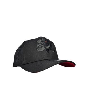 Gorra Doble AA Ducks