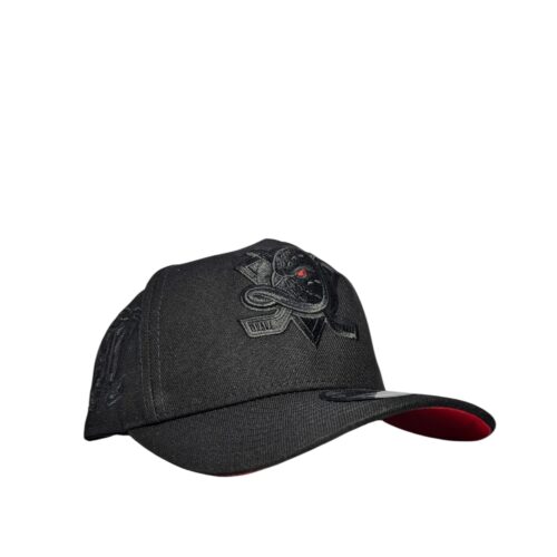 Gorra Doble AA Ducks