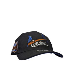Photoroom-20260605_181421016 (2) (4) Gorra Doble AA Cardinals